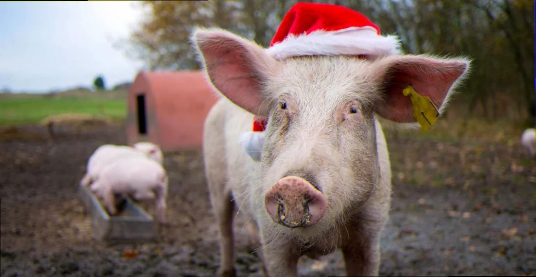 Økologisk julemarked i Aarhus