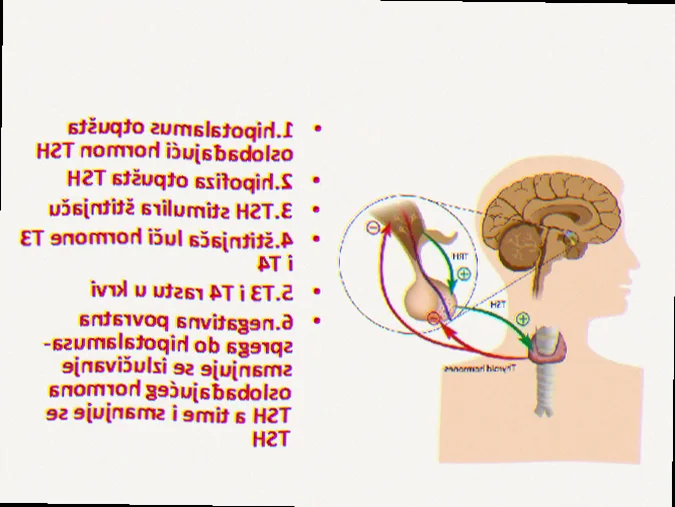 Hypofyse sygdomme og TSH